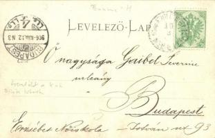 1906 Bilek, osztrák-magyar katonák egy szombati napon az udvaron, szamár, kutyák, ló, kakasok / K.u....