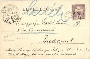 1901 Attala (Csoma), laktanya főtisztjei, csoportkép / K.u.K. military officers of the barracks. gro...