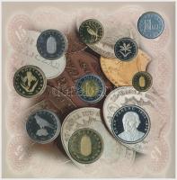 1998. 50f-200Ft (10xklf) forgalmi sor dísztokban + 1998. 100Ft alpakka "1848-1849. Szabadsághar...