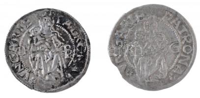 1518K-G Denár Ag II. Lajos (0,51g) + 1526. Denár Ag II. Lajos (0,68g) T:2 patina Huszár: 841.,Unger I.: 673.m, 673.p