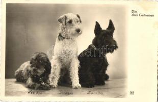 12 db régi főleg kutya motívumlap / 12 pre-1945 mainly dog motive cards