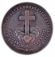 Pápai Állam 1888. "XIII. Leó pápa" jelzetlen Ag? emlékérem. Szign.: Bianchi (10,87g/30mm) ...