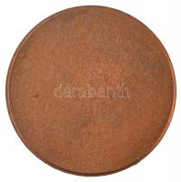 Oroszország DN "Vészhelyzetek Minisztériuma" Br emlékérem (55mm) T:2
Russia ND "Mini...