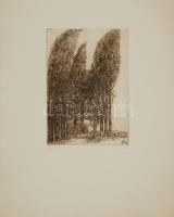 Bencze László (1907-1992): Vízparton szignált rézkarc 43x54cm-es íven