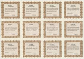 Budapest 1996. "SASAD Szövetkezeti Részvénytársaság" ötven darab bemutatóra szóló, szavazó...