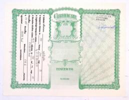 1991. "Turul Nemzetközi Biztonságtechnikai Részvénytársaság" névre szóló tíz darab részvén...