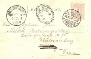 1898 Budapest XIII. Margitsziget, Margit fürdő, Margitszigeti forrás