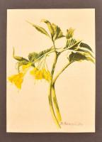 Benczúr jelzéssel: Harangvirág. Akvarell, papír, 22×16 cm