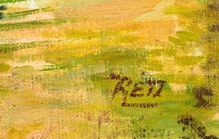 Réti jelzéssel: Vajdahunyad vára. Olaj, vászon, 40×30 cm