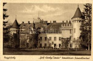 Nagykároly, Carei; Gróf Károlyi István honvédtiszti fiúnevelő intézet (Károlyi kastély) / Hungarian military institute for boys (castle) (EK)