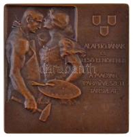 Berán Lajos (1882-1943) 1904. "Trefort Ágoston 1817-1888 /  Alapítójának és első elnökének - A ...