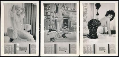 1959 Erotikus kártyanaptár, havi bontásban, 12 db, 9×6 cm