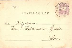 1898 Sopron, Oedenburg; Hotel Pannonia szálloda, látkép, Városház és torony, Széchenyi szobor. Schwa...