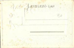 Sopron, Oedenburg; Városháza és Tűztorony. Magyar címeres dombornyomott litho / Passepartoutkarte De...