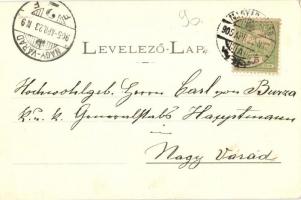 1905 Magyaróvár, Mosonmagyaróvár; M. kir. Gazdasági Akadémia, Főhercegi kávéház, Régi sóház, Városhá...