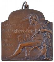 Ifj. Vastagh György (1868-1946) 1909. "XVI. Nemzetközi Orvos Kongresszus - Budapest" bronz plakett szalag nélkül (40x40mm) T:1-,2