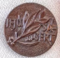 ~1970. "Ifjúságért" fém kitüntetés mellszalaggal, miniatűrrel, eredeti dísztokban. Szign.:...