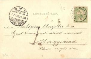 1903 Szalkszentmárton, Petőfi egykori lakóháza emléktáblával, férfi kerékpárral, Református templom....