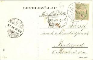 1905 Mór, Wekerle Sándor utca, Móri Könyvnyomda, Fonciere Biztosító fiókja, üzletek, lovaskocsi