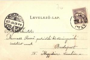 1901 Dunapataj, Kossuth utca, Nagy Vendégfogadó, szálloda, étterem. Kiadja Faragó Gergely