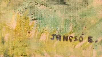 Jancsó jelzéssel: Ház fenyőkkel, olaj, vászon, a vászon kicsit sérült, 60×50 cm