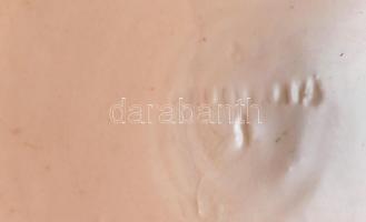 Hollóházi mélytányér, kézzel festett, máz hibákkal, jelzett, d: 22,5 cm