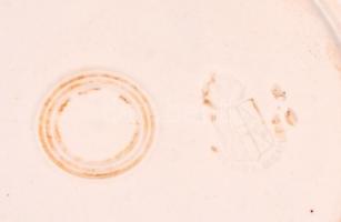 Jelzett osztrák mélytányér, kézzel festett, máz hibákkal, jelzett, d: 22,5 cm