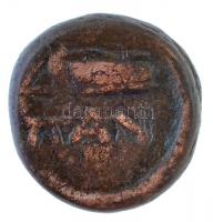 Boszporosz Kr. e. ~IV-III. század Bronzpénz (3,42g) T:3 Bosporos ~4th-3rd century BC Bronze coin (3,42g) C:F
