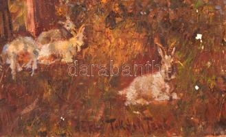 Takács jelzéssel: Malom, olaj, vászon, 60×80 cm