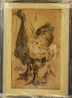 1901 Pirez Müller szignált tusrajz keretben 40x54cm