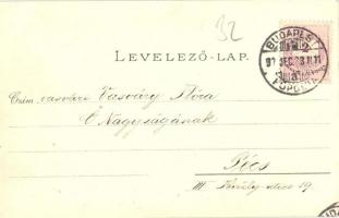 1897 (Vorläufer!) Budapest I. Királyi vár és várbazár, Lánchíd, gőzhajók, rakpart. Ottmar Zieher Art...