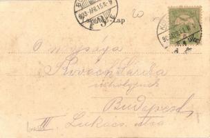 1903 Brassó, Kronstadt, Brasov; Villa Kertsch