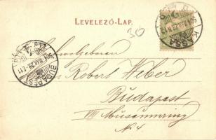 1904 Kassa, Kosice; Rákóczi körút, utcakép. Kiadja Breitner Mór / street view (kis szakadás / small ...