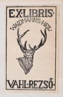 1938 Az Ezeréves Felvidék, a Pesti Hírlap számai könyvbe kötve