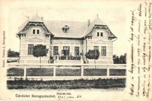 1906 Beregszász, Berehove; Zsazsa lak. Kiadja Farkas J. / villa (EK)