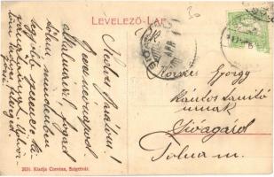 1910 Szigetvár, Zrínyi tér, Római katolikus templom, üzletek, piaci árusok. W. L. (?) 2631. Kiadja a...