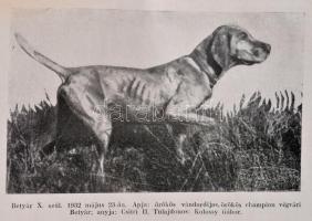 Kolossy Gábor: "Betyár" a magyar vizsla
Budapest, [1943], Vadászati Útmutató kiadása (Hor...