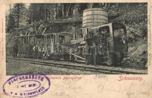 Puchberg am Schneeberg, Schneebergbahn Haltestelle Baumgartner / Schneeberg cogwheel railway's Baumgartner station, cog railway station, railwaymen, locomotive. C. Ledermann jr. 2790. (EB)