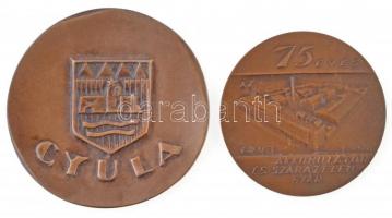 1968. 75 éves az Akkumulátor és Szárazelem Gyár Br emlékérem (70mm) + DN Gyula Br emlékplakett (86mm) T:2