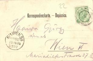 1904 Konjic, Bahnhof / general view, Neretva river bridge, mosque, railway station, wagons. B. Goldb...