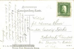 Konjic, general view, Neretva riverbank, cattle, mosque. W. L. Bp. 4729. (EK)