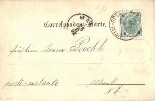 1902 Velm-Götzendorf (Gänserndorf), street view, shops, church. Verlag Marie Glass, Art Nouveau, flo...