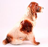 Spániel, kézzel festett, jelzett (Cluj), apró kopás nyomokkal, m: 33 cm