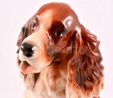 Spániel, kézzel festett, jelzett (Cluj), apró kopás nyomokkal, m: 33 cm