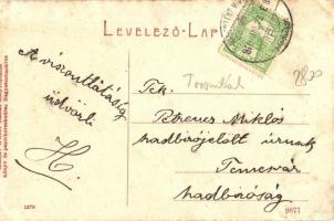 1910 Nagyszentmiklós, Sannicolau Mare; Magyar királyi állami "Berta" polgári fiúiskola. Wi...