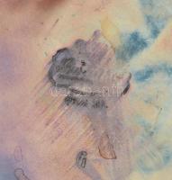 Bareuther Bavaria porcelán teás készlet (csésze+alj, cukortartó, kanna), jelzettek, kopásokkal, külö...