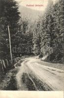 1913 Hodrushámor, Hodrusa-Hámre; út. Kiadja Joerges Selmecbányán / road (EB)