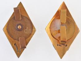 ~1960-1970. "Rendőrtiszti Főiskola" zománcozott fém jelvény + "Rendőrtiszti Akadémia&...