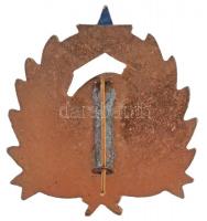 ~1960-1970. "Úttörő Csapatvezető" festett fém jelvény (43x48mm) T:2