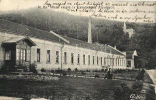 Algyógy, Geoagiu; M. Kir. Állami Vasgyárak szanatóriuma. Adler fényirda 1911. / sanatorium of the iron works